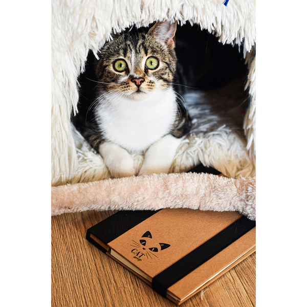 R73661.02 - Notes memo 100x180/70k linia Kraft Paper, czarny/beżowy